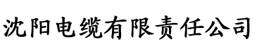 塞上曲怜儿全文免费电缆厂logo